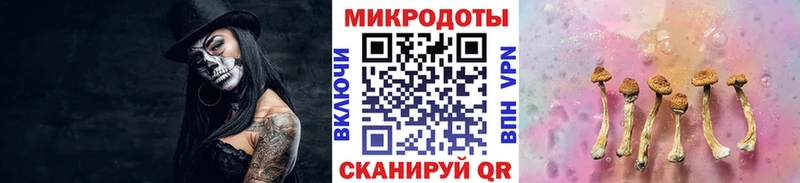 цена   Десногорск  Галлюциногенные грибы прущие грибы 