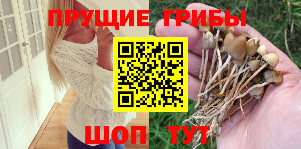 Псилоцибиновые грибы Psilocybine cubensis  Псилоцибиновые грибы мухоморы  сколько стоит  Десногорск  Вход с VPN 