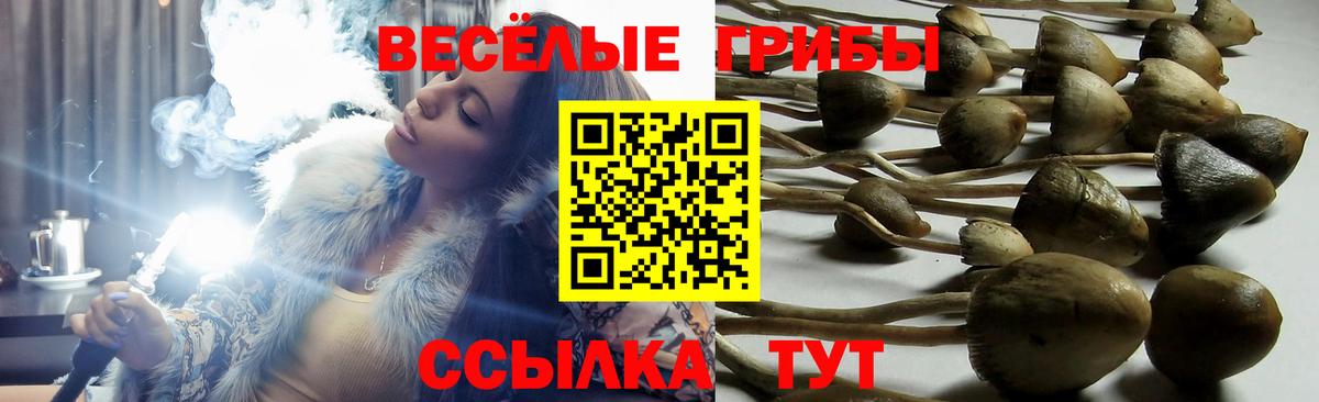 Псилоцибиновые грибы прущие грибы  Псилоцибиновые грибы MAGIC MUSHROOMS  Десногорск 